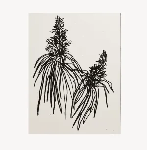 Botanical Art Print