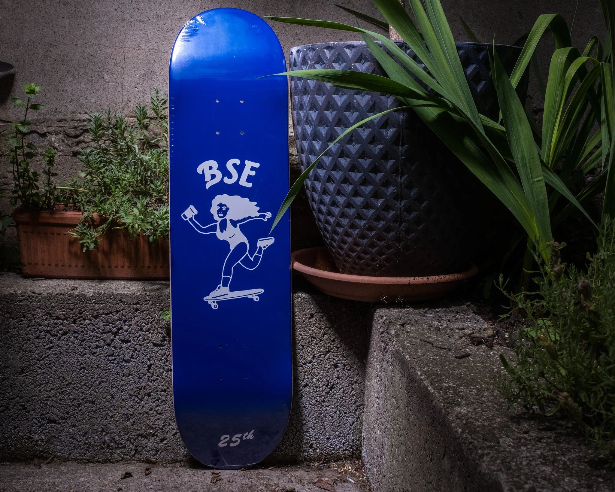BSE Flash Logo Board