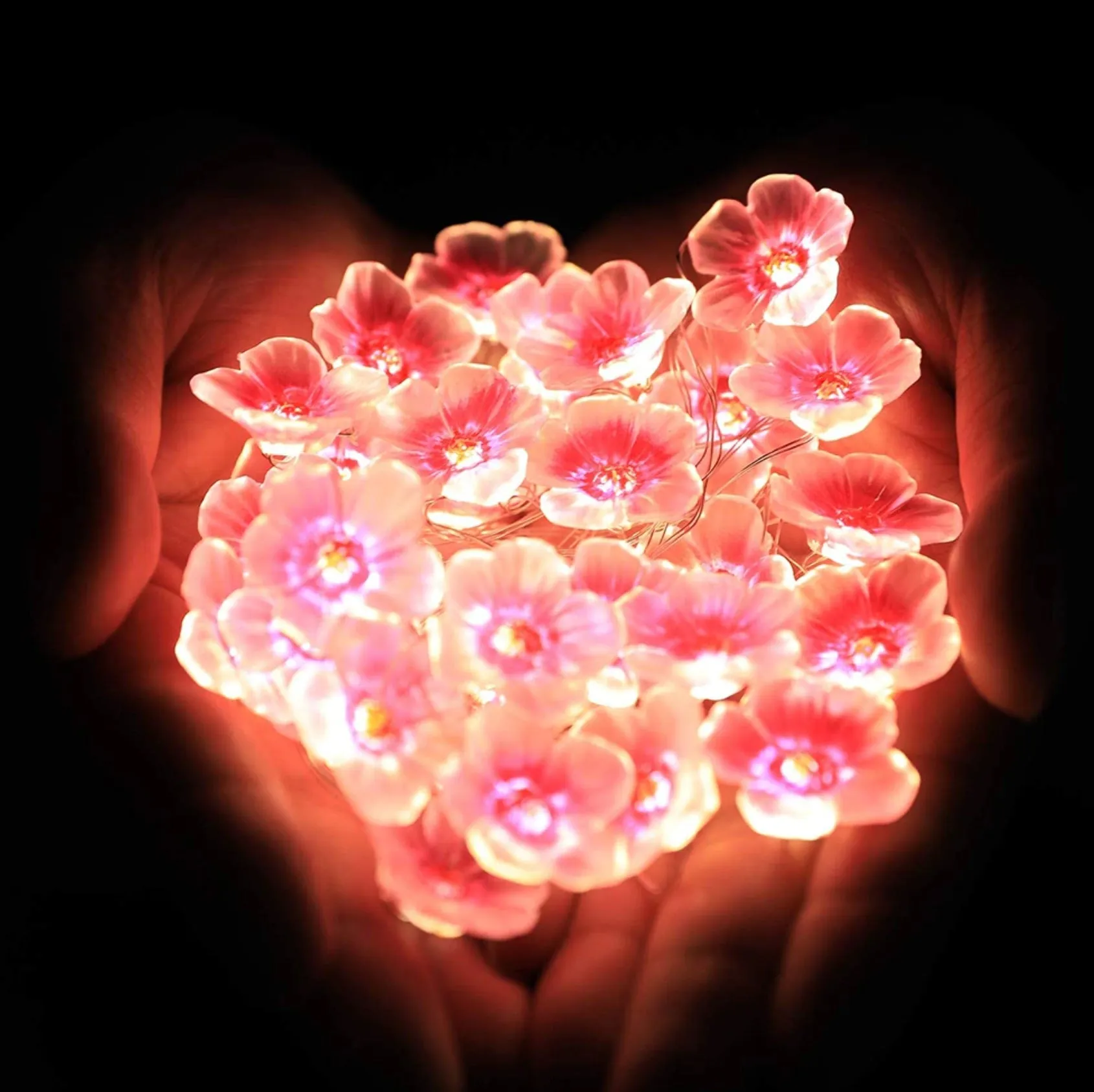 Cherry Blossom Lights