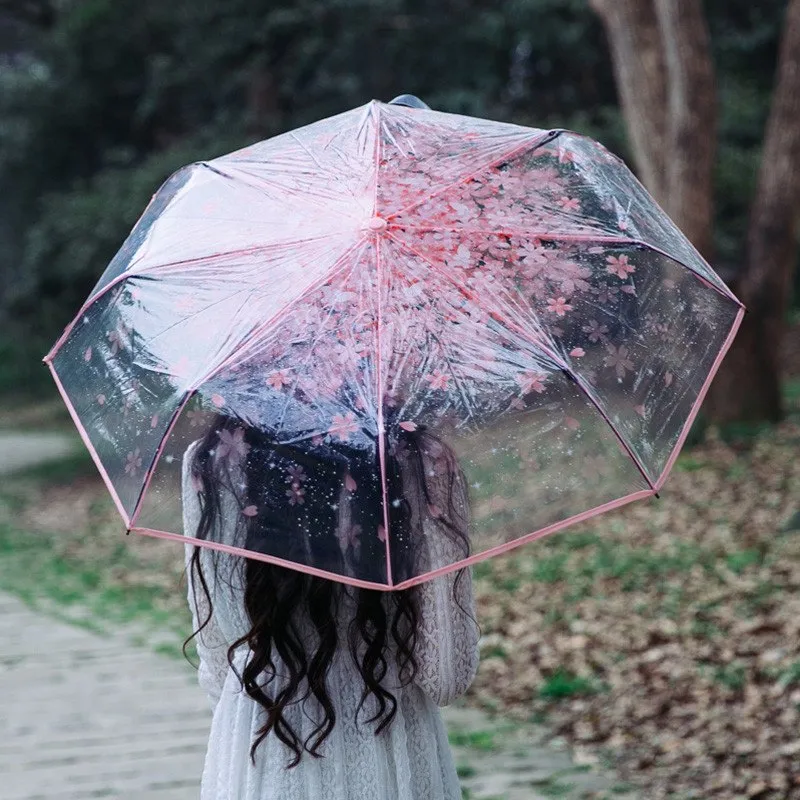 Cherry Blossom Transparent Umbrella SD01699