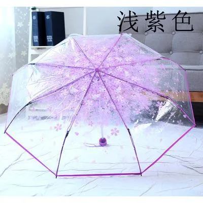 Cherry Blossom Transparent Umbrella SD01699