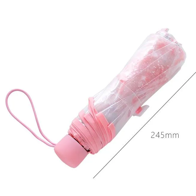 Cherry Blossom Transparent Umbrella SD01699