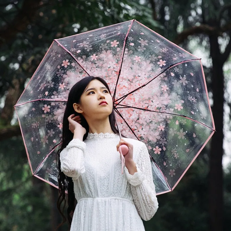 Cherry Blossom Transparent Umbrella SD01699