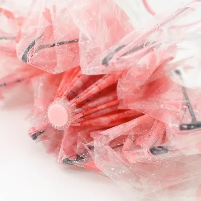 Cherry Blossom Transparent Umbrella SD01699