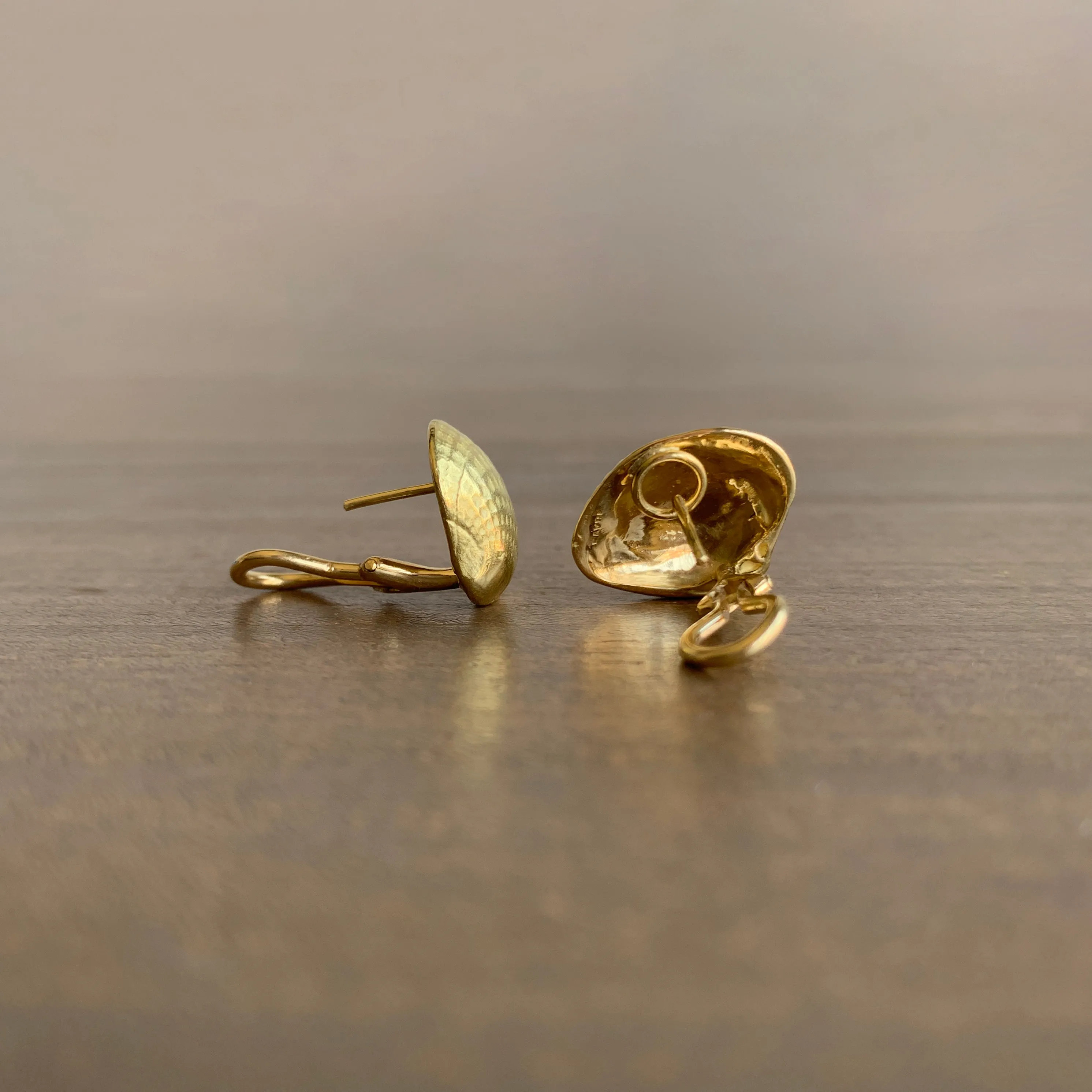Cross-Bar Venus Shell Post Earrings