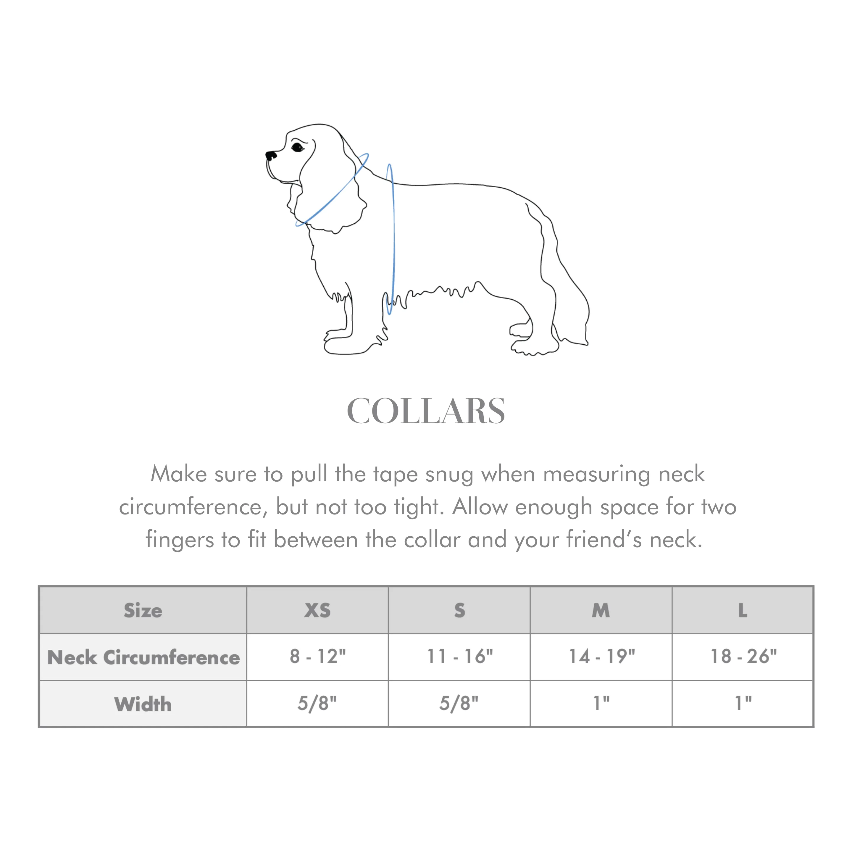 Endless Path Classic Dog Collar