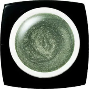 K- E-231 Olive Beach Pearl  Color Gel 2.5g (D)