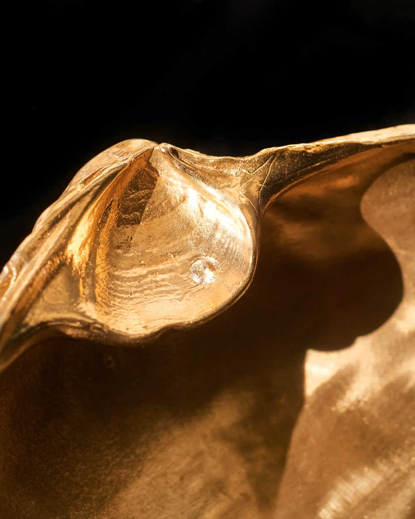Large Golden Shell White Diamond