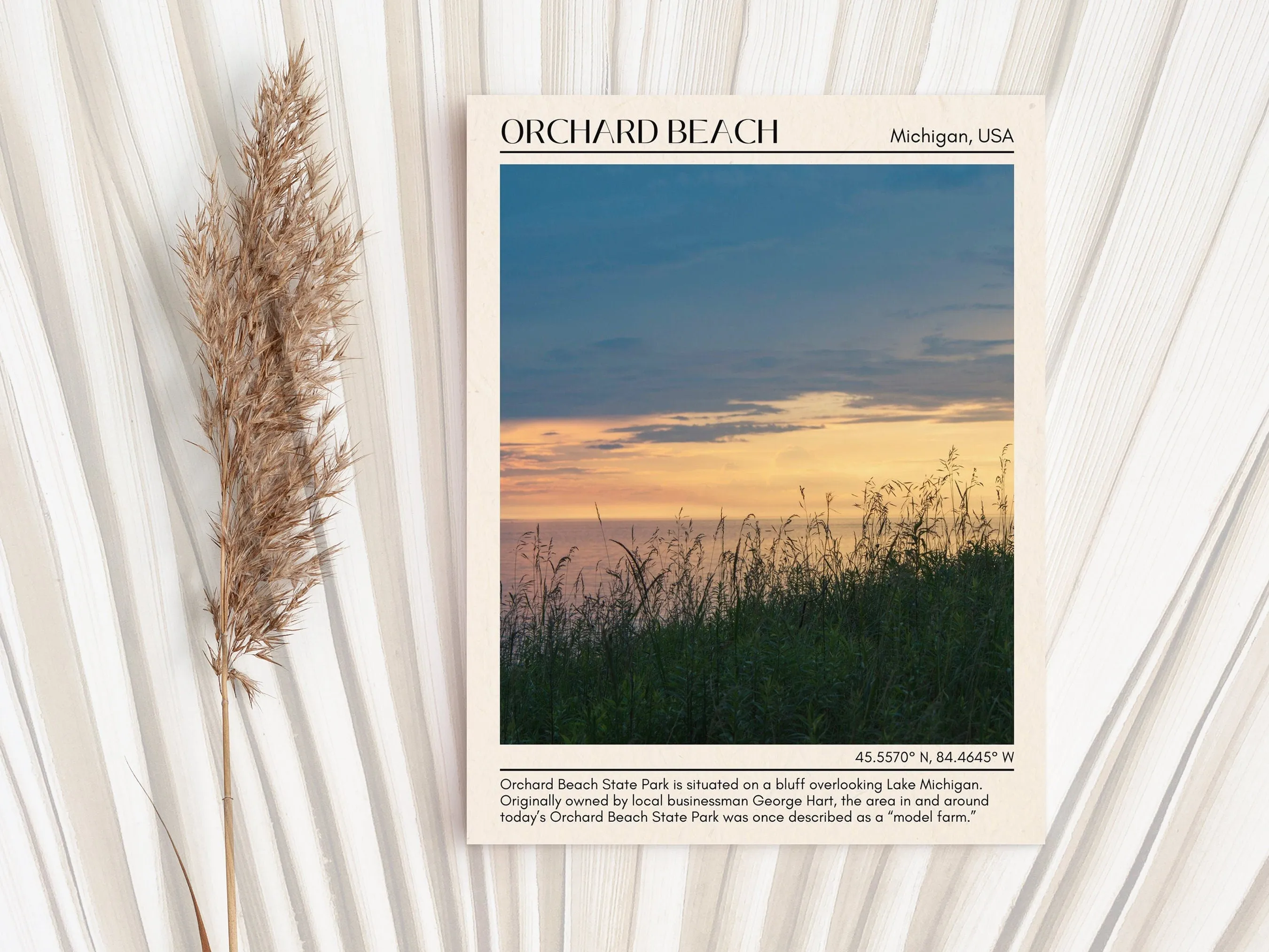 Orchard Beach Wall Canvas, USA