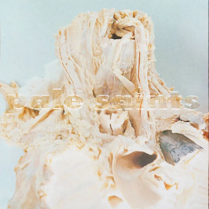Pale Saints - In Ribbons [30th anniversary Deluxe Edition 2xLP Unpigmented Vinyl] – LP