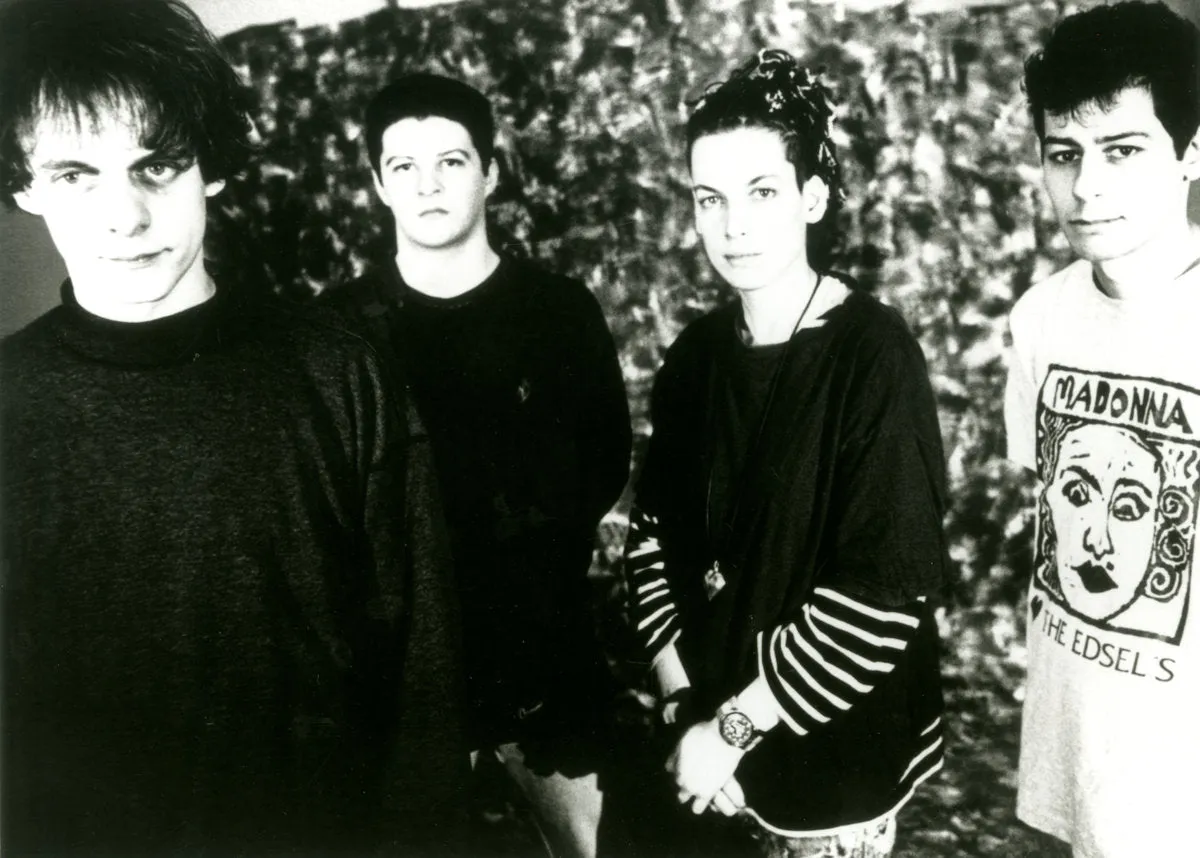 Pale Saints - In Ribbons [30th anniversary Deluxe Edition 2xLP Unpigmented Vinyl] – LP