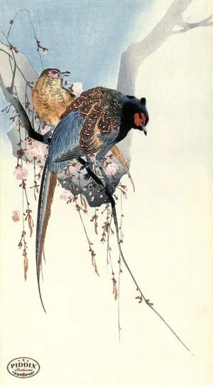 PDXC19589-- Japanese Birds