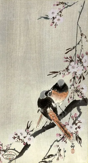 PDXC19635 -- Japanese Birds and Flowers