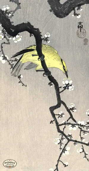 PDXC19692 -- Japanese Bird and Flowers