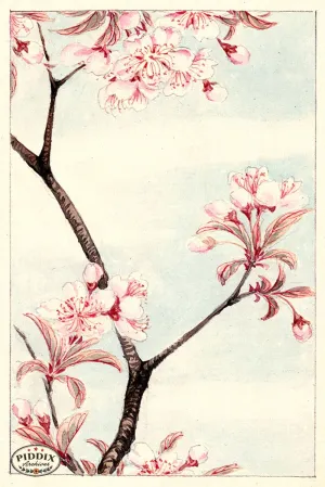 PDXC5493  -- Vintage Watercolor Florals