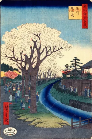 PDXC5849 -- Japanese Woodblocks 1850s