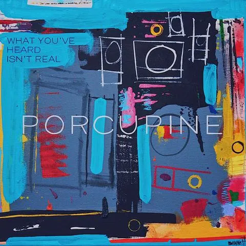 Porcupine - What You've Heard Isn't Real 12" EP [BLUE SWIRL VINYL] - Used LP