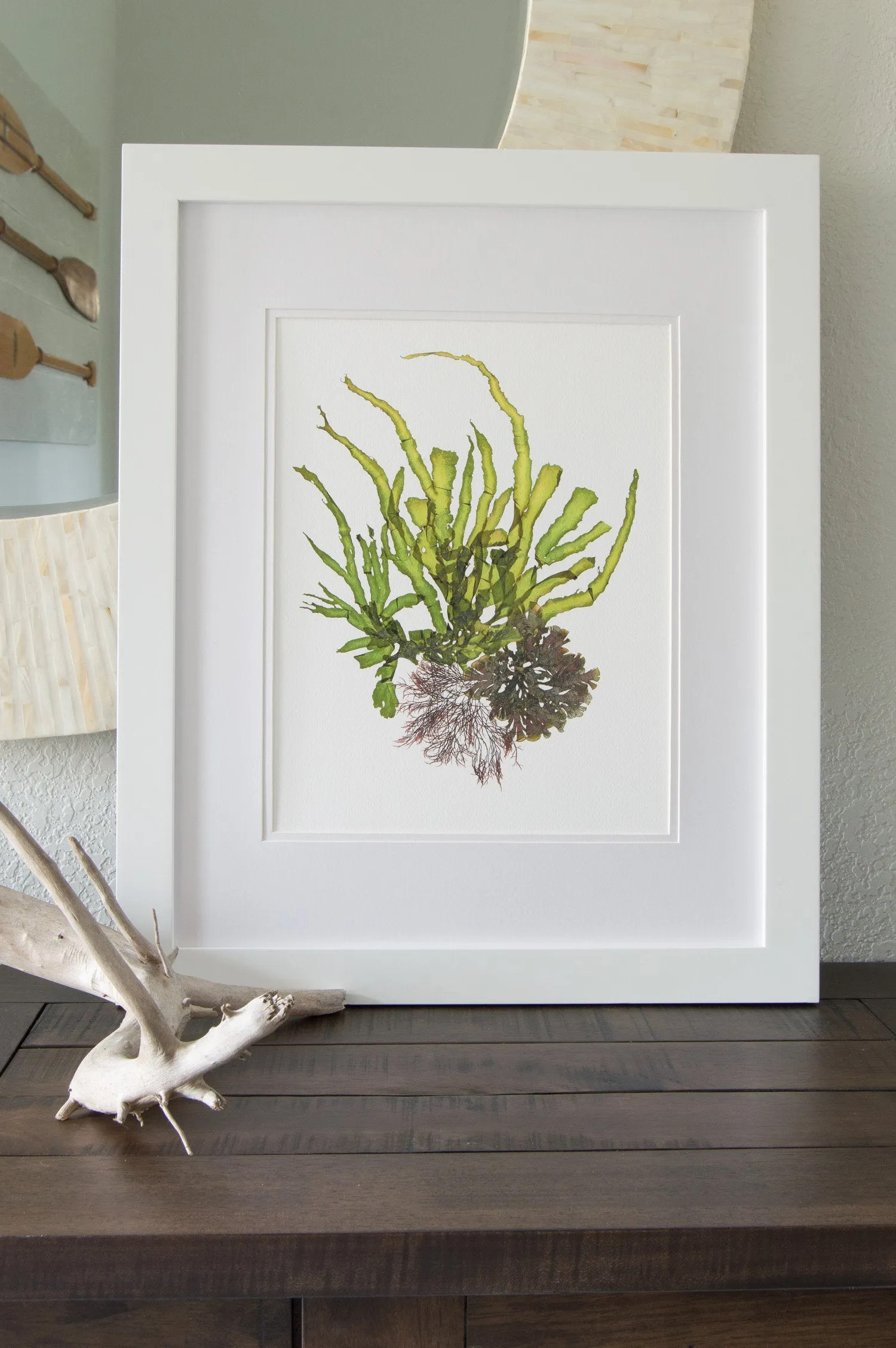 "Crest I" 11x14 Art Print