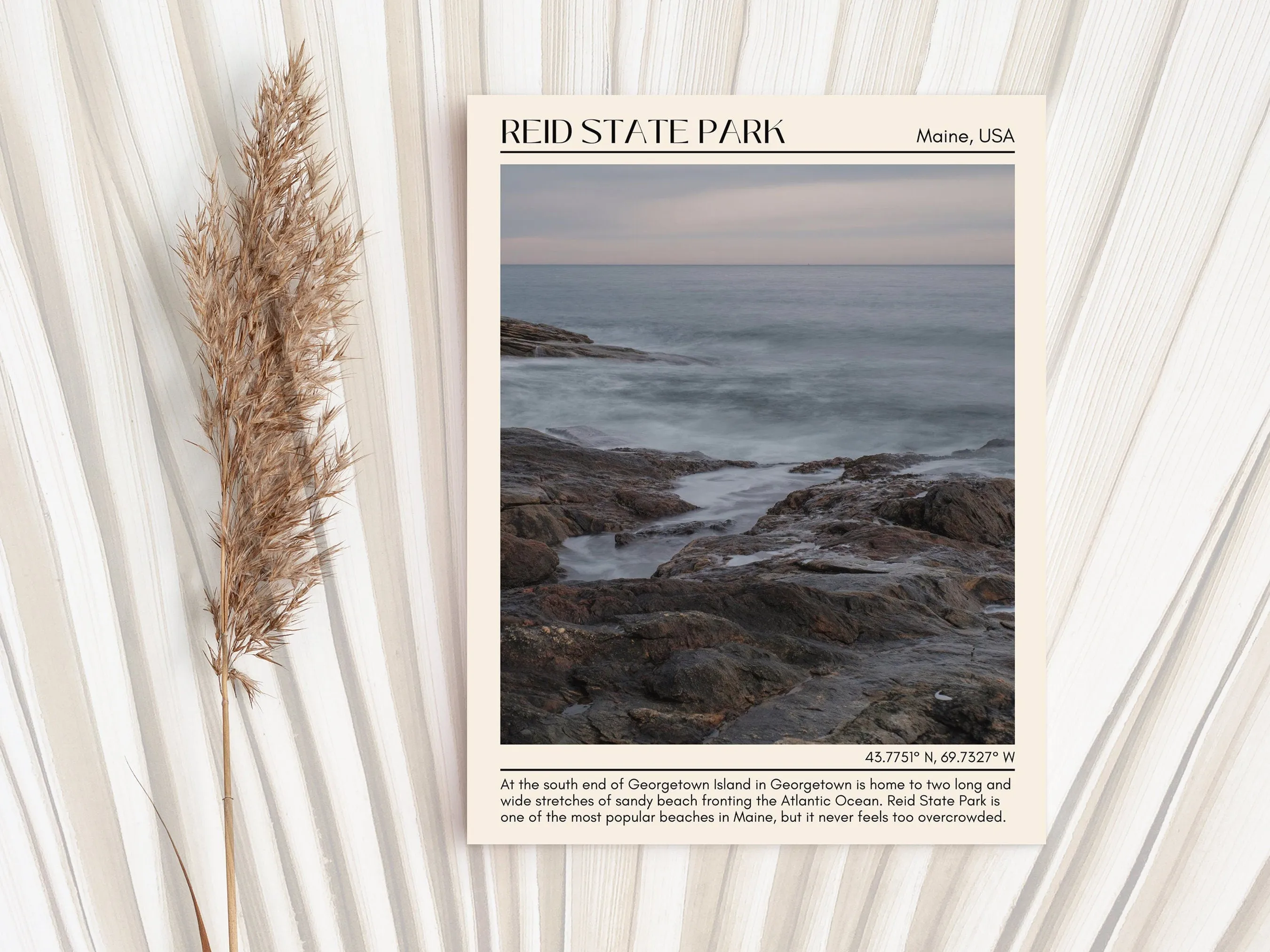 Reid State Park Wall Canvas, USA