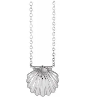 SS Shelly Necklace