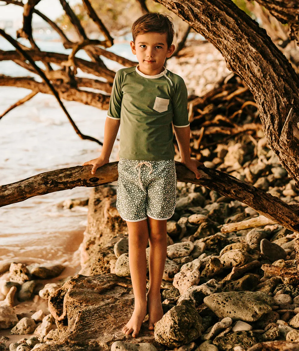 Swim Shorts in Sage Green Shell Print