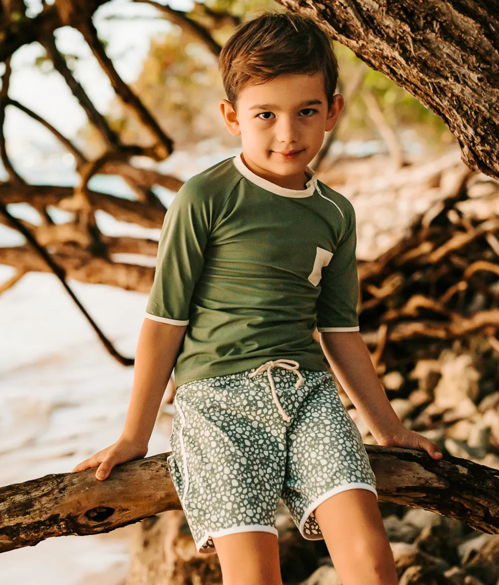 Swim Shorts in Sage Green Shell Print