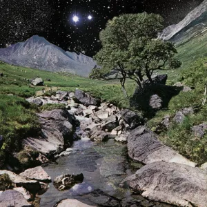 The Beta Band - The Beta Band (Ltd. Ed. 3xLP CD included w/ Gatefold)