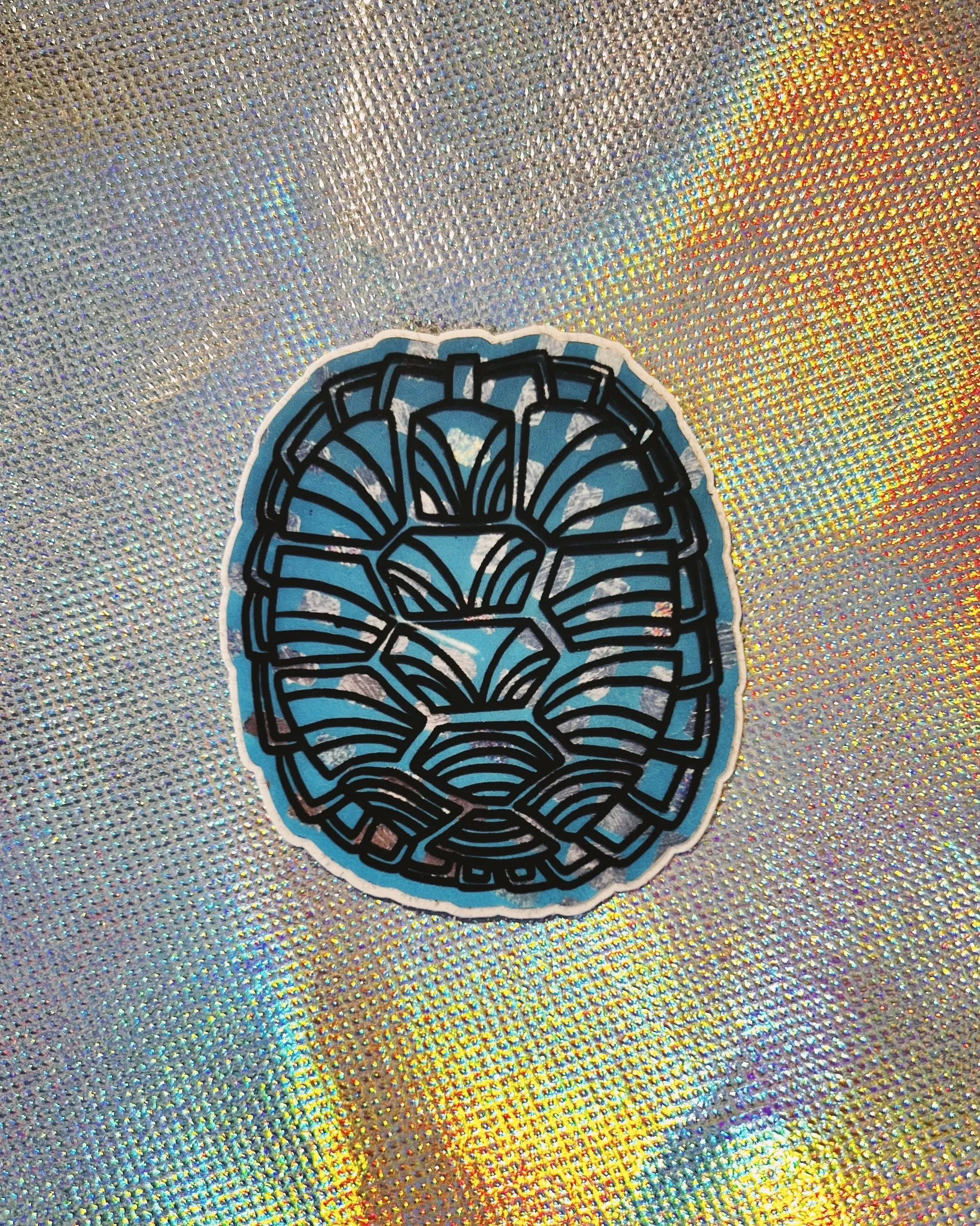 Turtle Shell