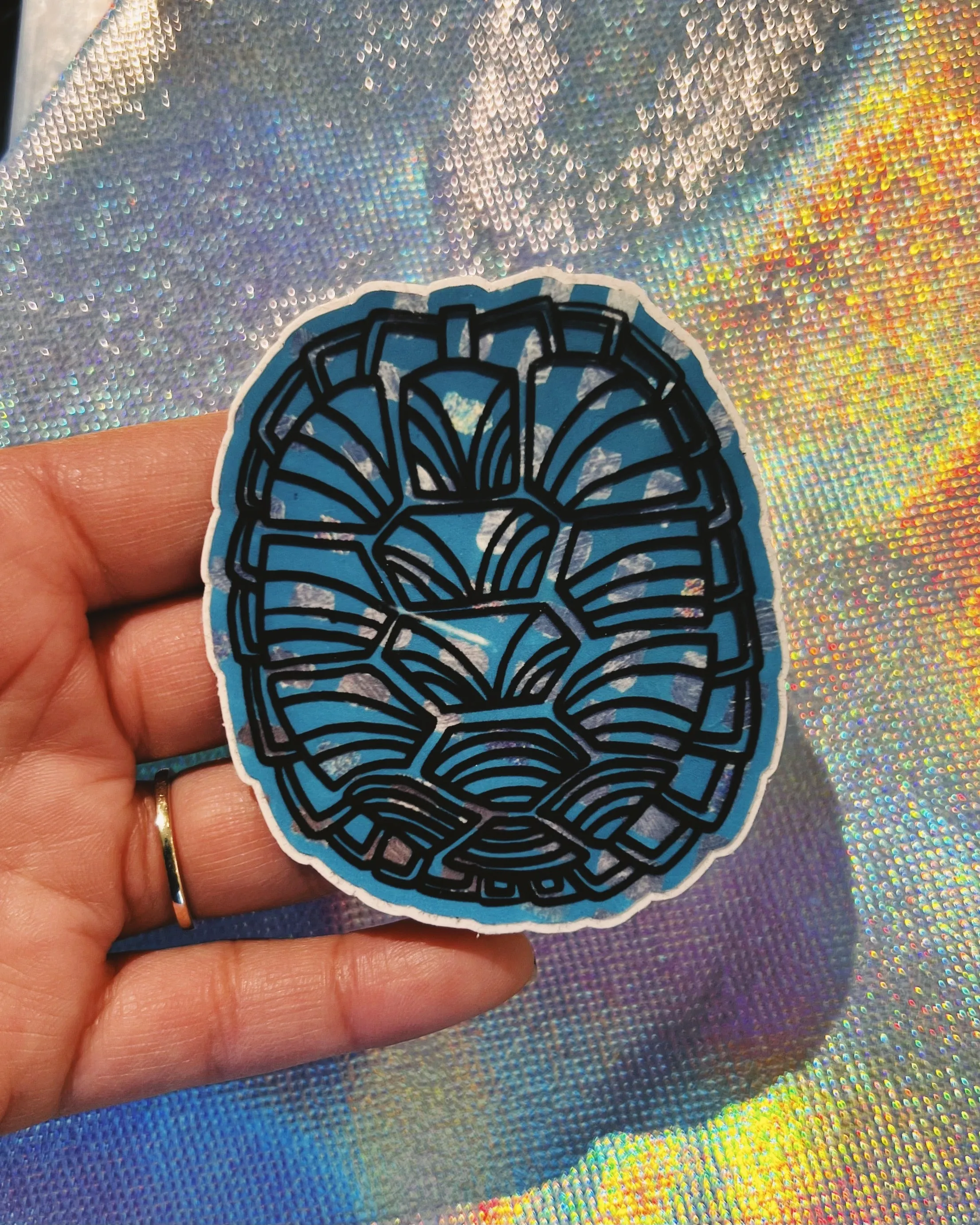 Turtle Shell