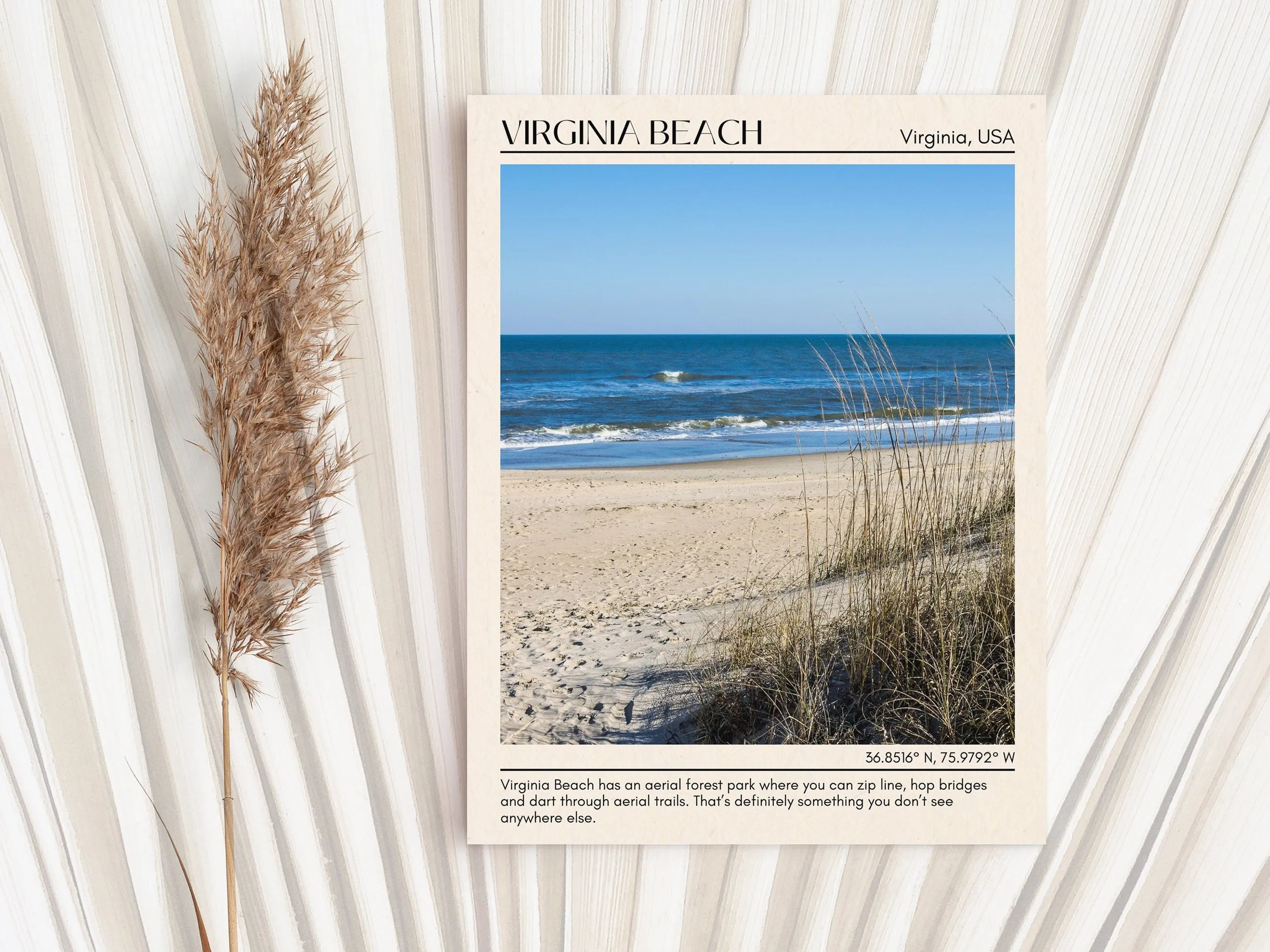 Virginia Beach Wall Art, Virginia, USA